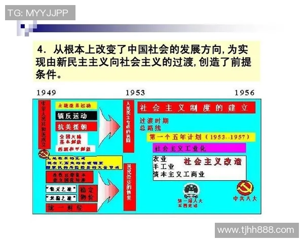 上海排球队的辉煌征程与杯赛背后的奋斗故事
