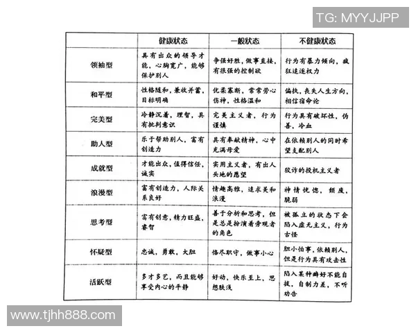 广州排球队运营解析：探索其成功背后的策略与挑战
