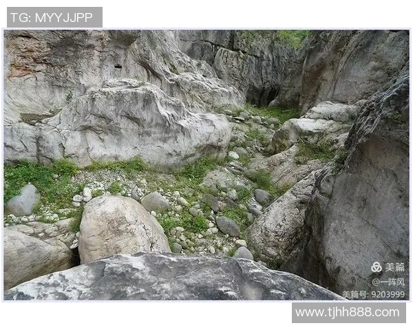 揭秘足球明星水怪的真实身份与传奇故事