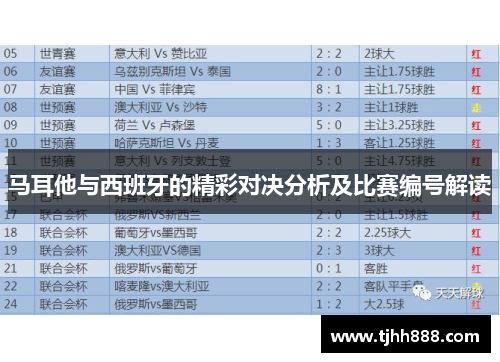 马耳他与西班牙的精彩对决分析及比赛编号解读